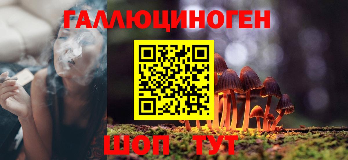 Галлюциногенные грибы мухоморы Великий Новгород